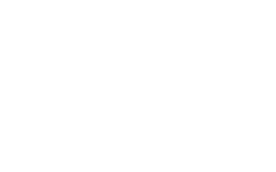 Portfolio showcase